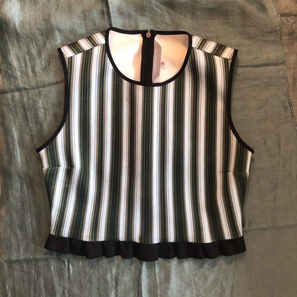 Clover Canyon Blue Striped Crop Top
